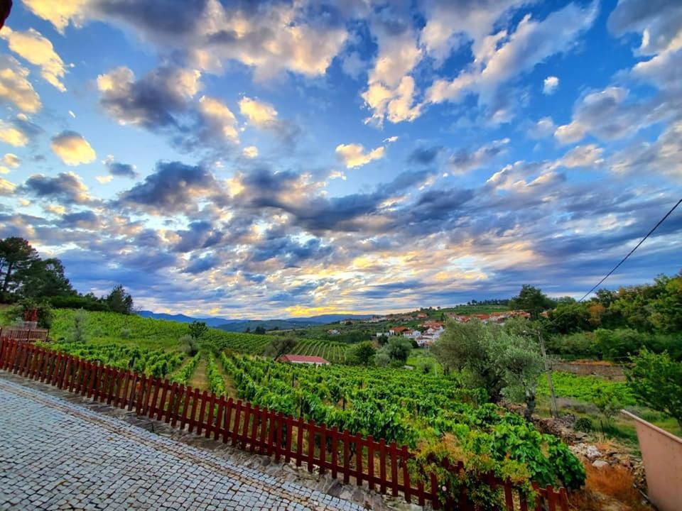 Hotel Casa Do Poco - Douro Peso da Régua Exteriér fotografie