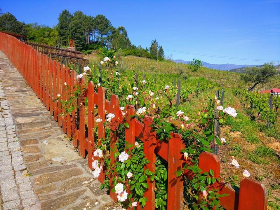 Hotel Casa Do Poco - Douro Peso da Régua Exteriér fotografie