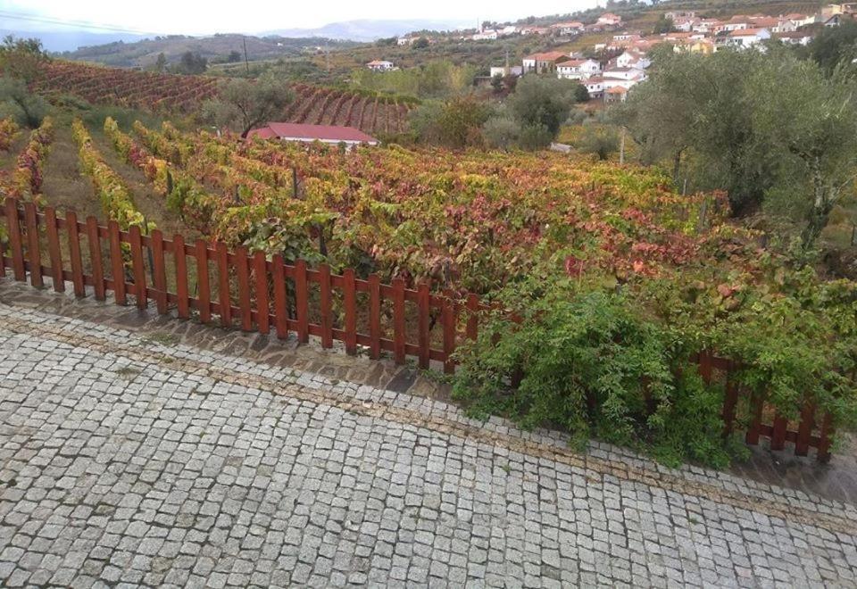 Hotel Casa Do Poco - Douro Peso da Régua Exteriér fotografie